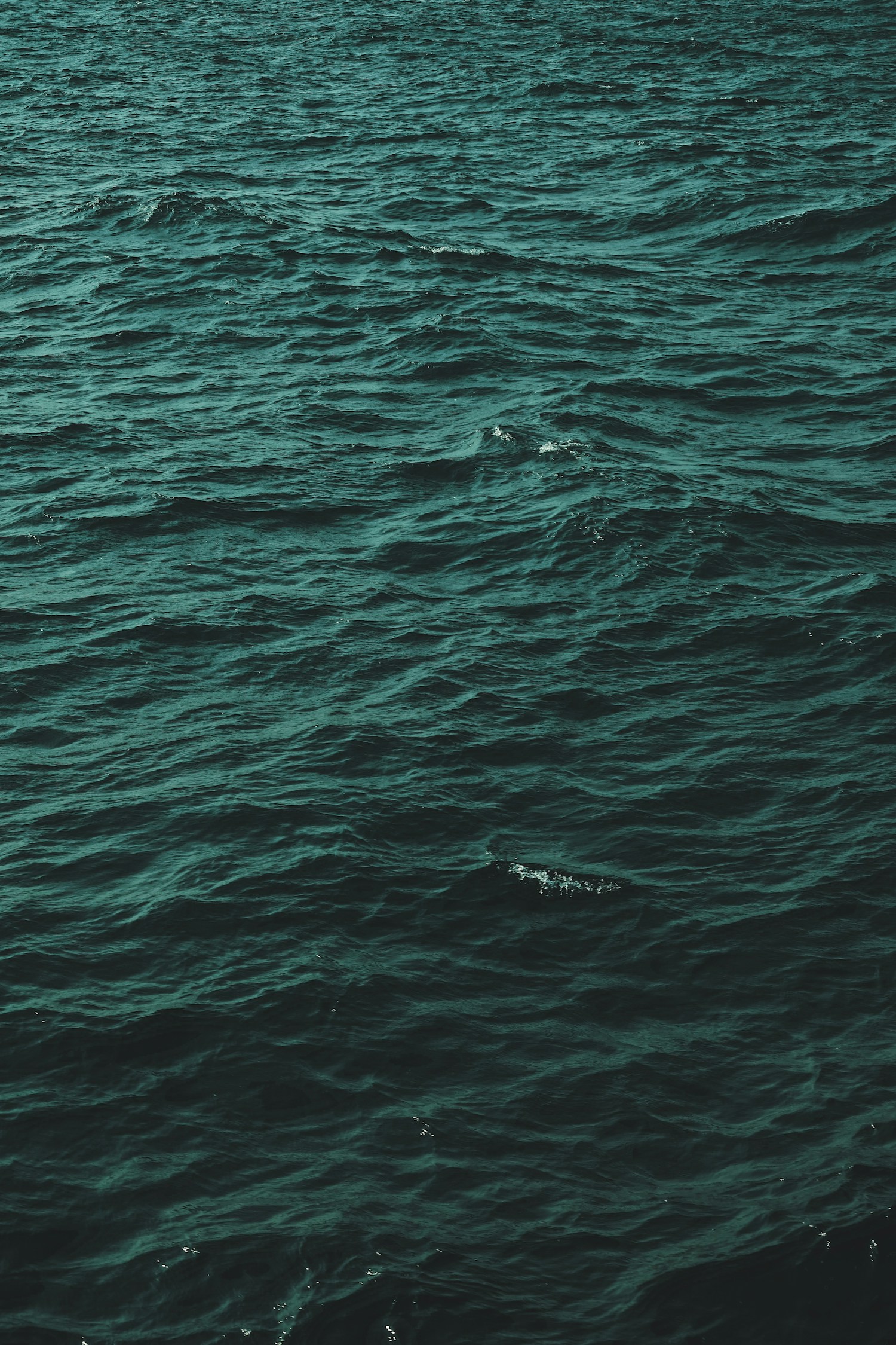 Textured ocean waves in deep green water